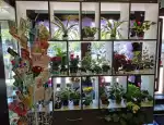Магазин цветов Сердце Флоры фото - доставка цветов и букетов
