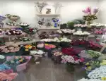 Магазин цветов Сказка Цветов фото - доставка цветов и букетов
