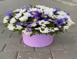 Магазин цветов Сюрприз фото - доставка цветов и букетов