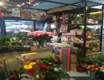Магазин цветов Территория цветов фото - доставка цветов и букетов