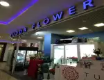 Магазин цветов Tudor Flowers фото - доставка цветов и букетов