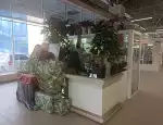 Магазин цветов Тутцветут фото - доставка цветов и букетов