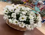 Магазин цветов В мире цветов фото - доставка цветов и букетов