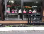 Магазин цветов Vam buket фото - доставка цветов и букетов