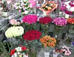 Магазин цветов Vanda-flora фото - доставка цветов и букетов