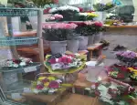 Магазин цветов Veris фото - доставка цветов и букетов