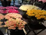 Магазин цветов Версаль фото - доставка цветов и букетов