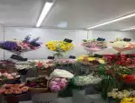 Магазин цветов Виола-М фото - доставка цветов и букетов
