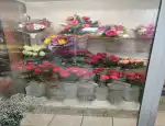 Магазин цветов Визит фото - доставка цветов и букетов