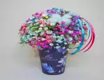 Магазин цветов ЗефирКо фото - доставка цветов и букетов