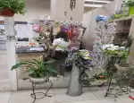 Магазин цветов Зимний сад фото - доставка цветов и букетов